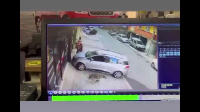 Sancaktepe’de Bir Vatandaş Köpek Korkusundan Arabanın Üstüne Çıktı