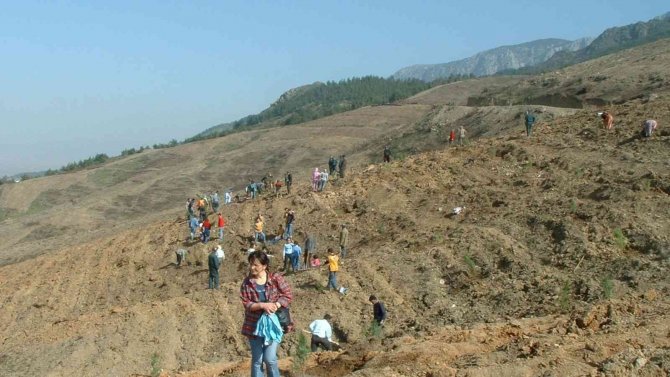 Manisa’da 19 Yıl Önce Yanan Orman Yeniden Yeşile Kavuştu