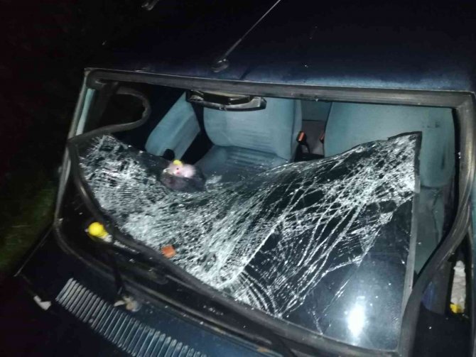 Ordu’da Otomobilin Çarptığı Yaya Hayatını Kaybetti