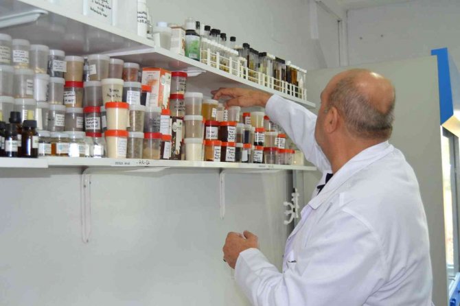 Balık Ve Karides Ölümlerini Önledi, Çin’e İhracat Yapacak