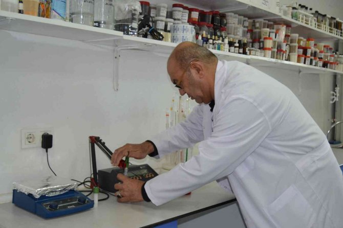 Balık Ve Karides Ölümlerini Önledi, Çin’e İhracat Yapacak