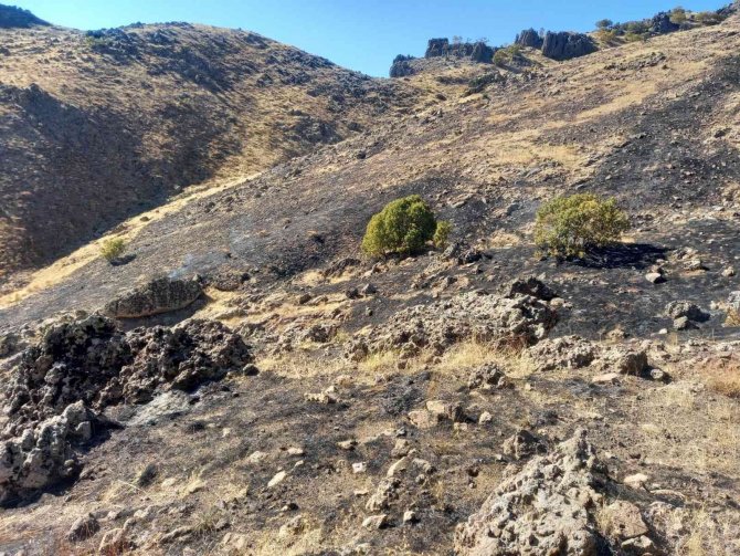 Tunceli’de Otluk Alandaki Yangın Kısa Sürede Söndürüldü