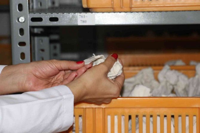 Türk Tarımının Geleceği Güvence Altına Alınıyor