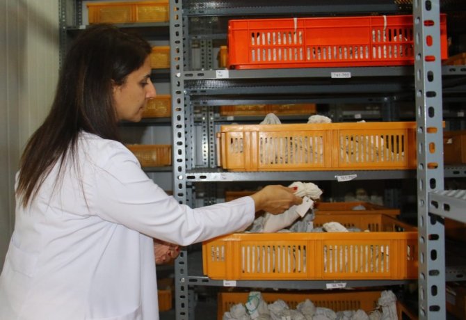 Türk Tarımının Geleceği Güvence Altına Alınıyor