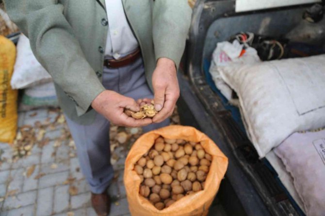 Kabuğuna Sığmayan Lezzete Yoğun Talep