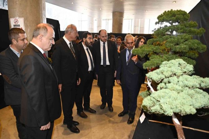 Türkiye’nin İlk Ulusal Bonsai Sergisi Yalova’da Açıldı