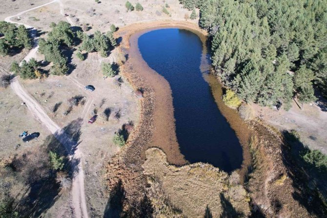 Sonbaharda Karagöl Jeositi’nde Sarı İle Yeşilin Her Tonu Hayran Bıraktı