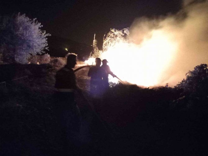 Hatay’da 3 Ayrı Noktadaki Sazlık Yangını Kontrol Altına Alındı