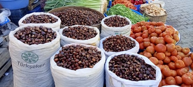Kestanenin Fiyatı 15 Liraya Kadar Düştü