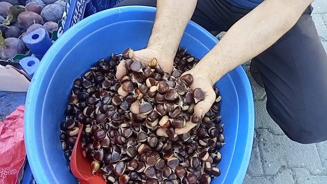 Kestanenin Fiyatı 15 Liraya Kadar Düştü