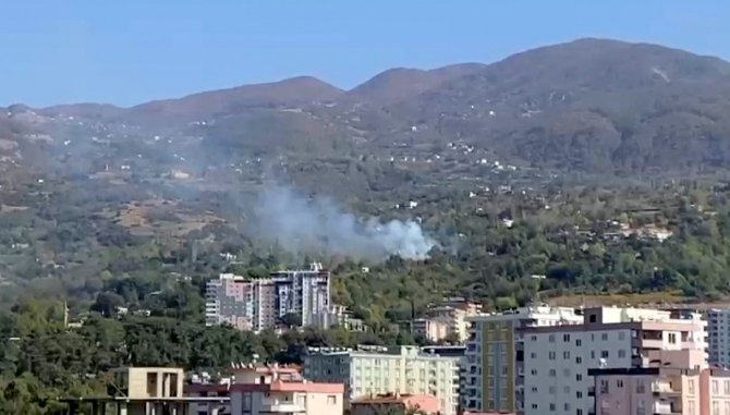 Yerleşim Yeri Yakınında Çıkan Orman Yangını Söndürüldü