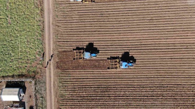 Tarımda Rekor Üstüne Rekor