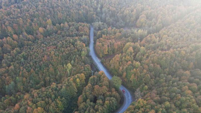Zonguldak Ormanlarında Sonbahar Güzelliği Havadan Görüntülendi