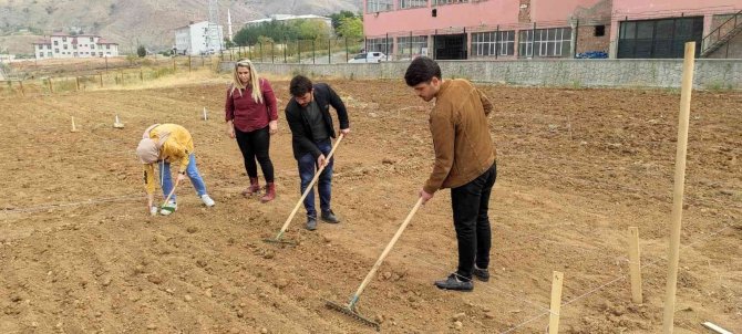 Batman’da Mereto Dağı Eteklerinde İlk Defa Aspir Bitkisi Yetiştirilecek
