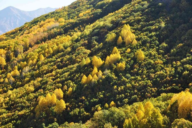 Tunceli’de Seyrine Doyulmaz Sonbahar Güzelliği