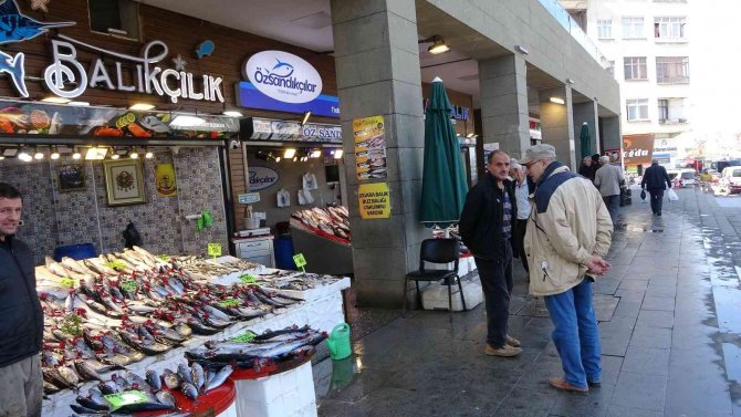 Palamudun En Bol Ve Ucuz Dönemi