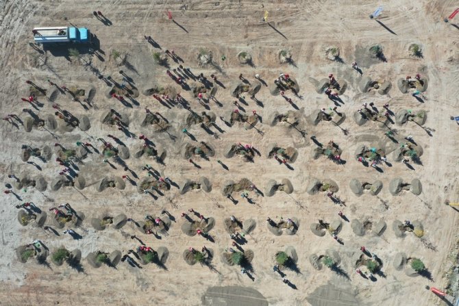 Kocasinan Belediyesi, Kızılay Haftası’nı Ağaçlarla Taçlandırdı