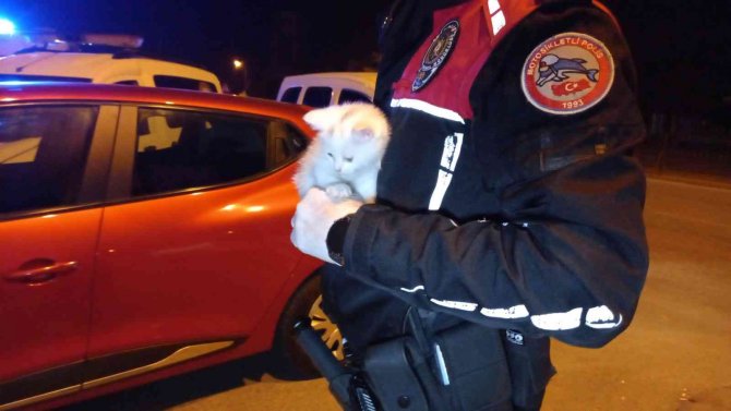 "Dur" İhtarına Uymadı, Polis Aracına Çarparak Durabildi