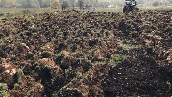 Atıl Arazilere Buğday Ekildi