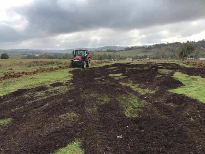Atıl Arazilere Buğday Ekildi