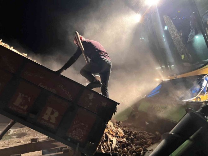 Güvenlik Önlemi Almadan Biçerdöverin İçine Mısırları Atan Çiftçi Yürekleri Ağza Getirdi