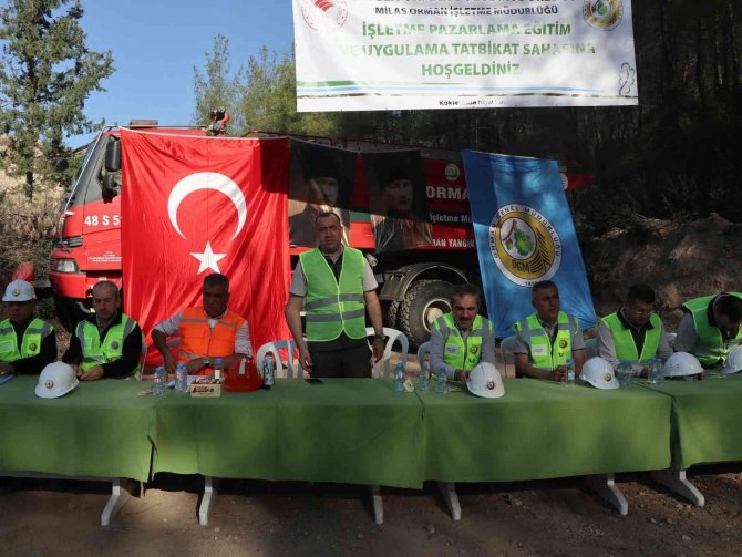 Orman İ̇şletme Müdürlükleri Üretim Tatbikatı Gerçekleştirdi