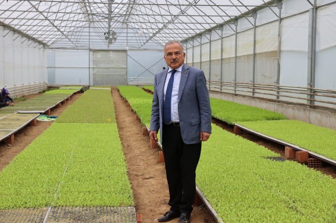 Ordu’nun Fide Üretim Merkezi