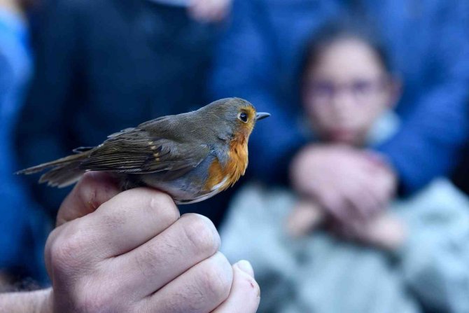 Gençler, Kızılırmak Deltası’nı Keşfediyor