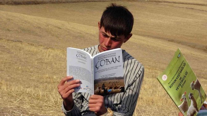 Çobanlık Mesleği Bilimselleşti