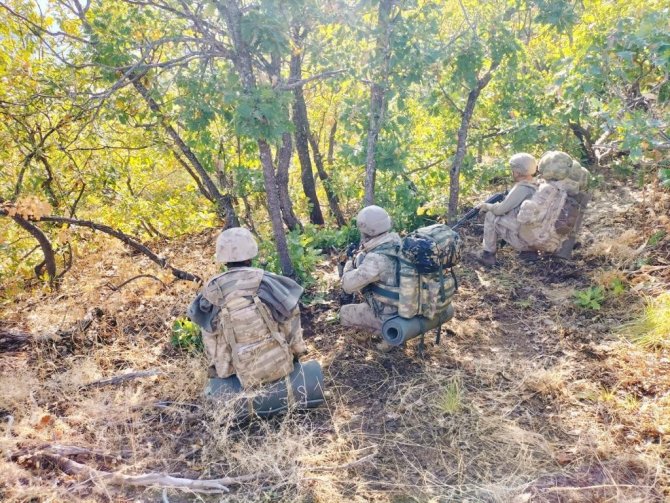 Bingöl’de ‘Eren Abluka Sonbahar-kış-7 Şehit Güvenlik Korucusu Ali Kalan Operasyonu’ Başlatıldı