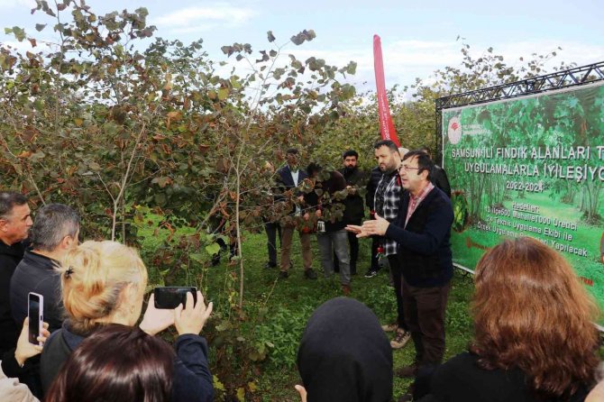 Samsun İ̇l Tarım Ve Orman Müdürlüğü Personeline Fındık Eğitimi