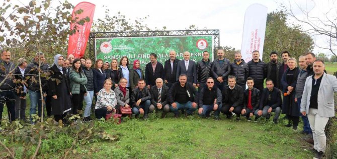 Samsun İ̇l Tarım Ve Orman Müdürlüğü Personeline Fındık Eğitimi
