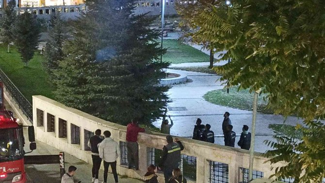 Ne Döner Ne Kedi Sesi Ağaçtan İndiremedi