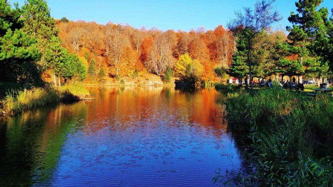 Muhteşem Sonbahar Fotoğrafları