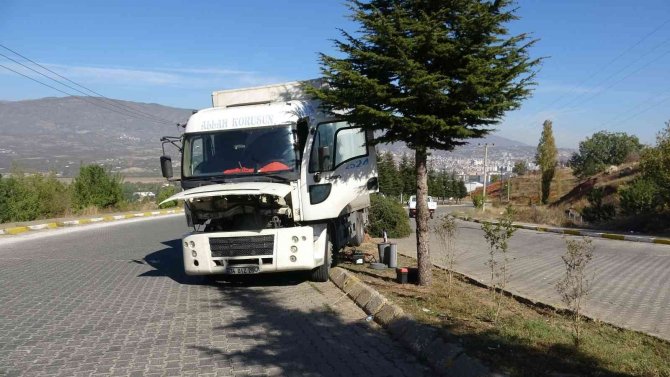 Ağacı Kökünden Sökerek Durabildi, Büyük Bir Kazanın Eşiğinden Dönüldü