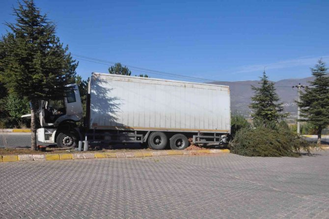 Ağacı Kökünden Sökerek Durabildi, Büyük Bir Kazanın Eşiğinden Dönüldü