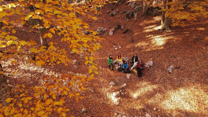 Yirce Kayın Ormanı Ziyaretçilerine Tablodaymış Hissi Yaşatıyor