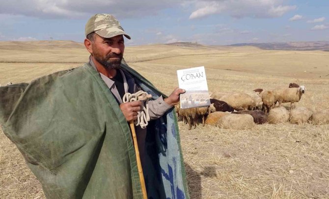 Çobanlık Mesleği Bilimselleşti