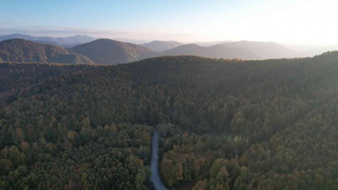 Zonguldak Ormanlarında Sonbahar Güzelliği Havadan Görüntülendi