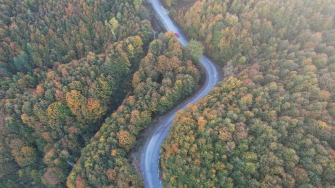 Zonguldak Ormanlarında Sonbahar Güzelliği Havadan Görüntülendi