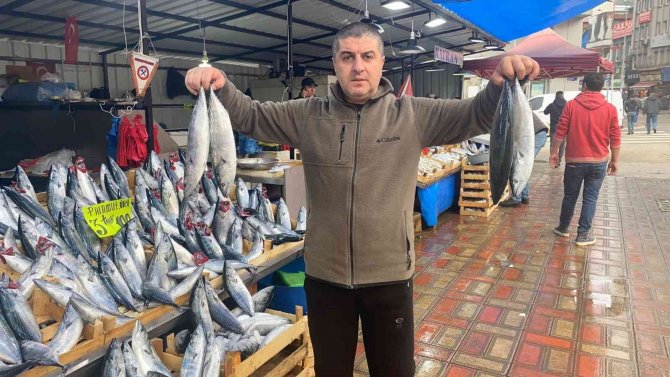 Palamut Hem Vatandaşı Hem Esnafı Memnun Etti