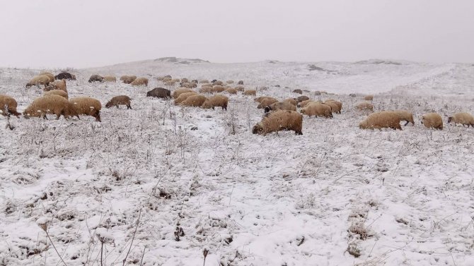 Bayburt’un Yüksek Kesimlerine Kar Yağdı