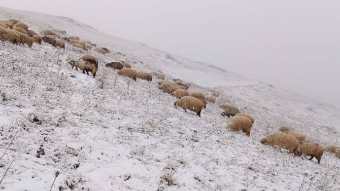 Bayburt’un Yüksek Kesimlerine Kar Yağdı