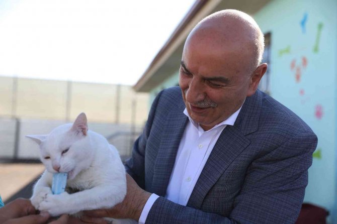 Keçiören Belediyesinden Sokak Hayvanlarına Bakım Ve Tedavi Çalışması