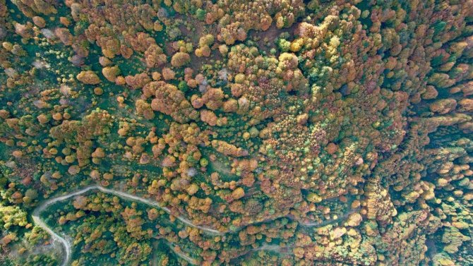 Kocaeli’de Eşsiz Sonbahar Güzelliği