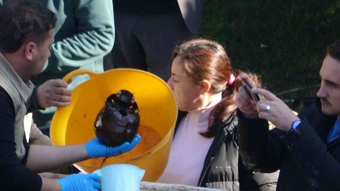 İ̇nşaat Kazısında Bulunan Gizemli Lahit Açıldı