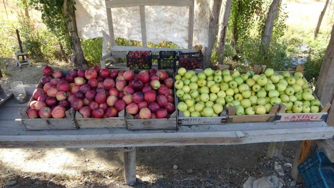 40 Yıldır Ürettiği Sebze Ve Meyveleri Yol Kenarına Kurduğu Tezgahta Satıyor