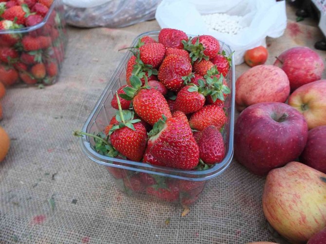 Burhaniye’de Organik Ürünler Çiftçileri Sevindirdi