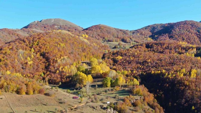 Sonbaharla Gelen Güzellik, Görenleri Mest Etti