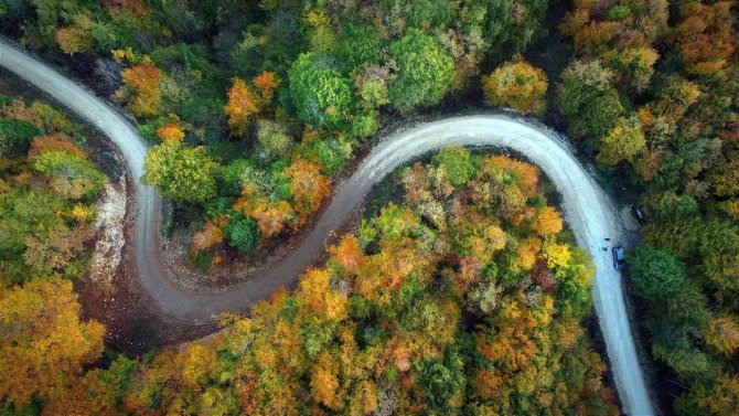 Sakarya’da Sonbahar Güzelliği